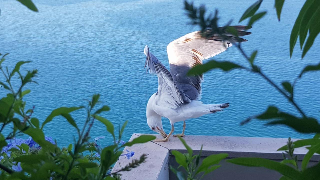 Amanda'S Panorama Apartman Taranto Kültér fotó