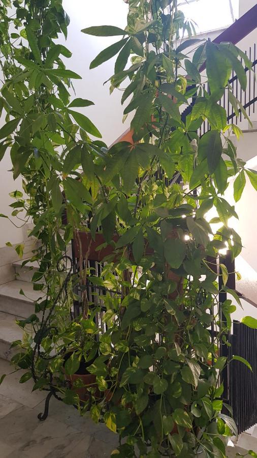 Amanda'S Panorama Apartman Taranto Kültér fotó